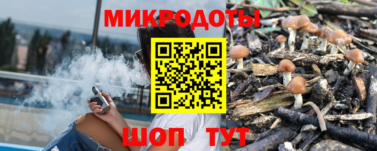Галлюциногенные грибы MAGIC MUSHROOMS  Вход с VPN  Кызыл 